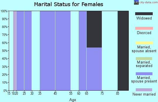 Zip code 77440 marital status for females