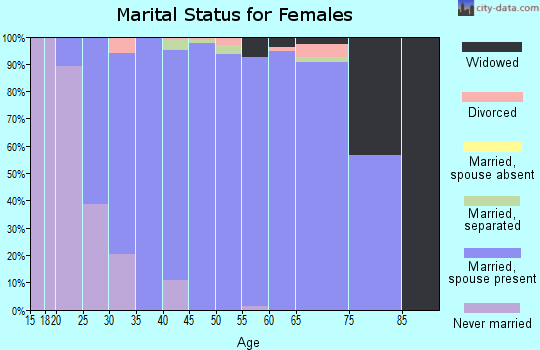 Zip code 77441 marital status for females