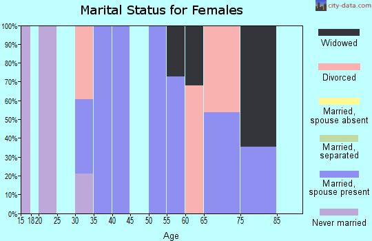 Zip code 77456 marital status for females