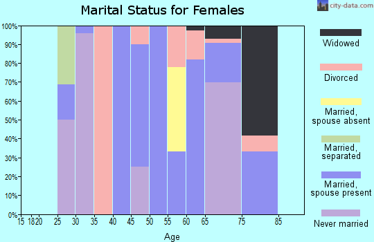 Zip code 77466 marital status for females