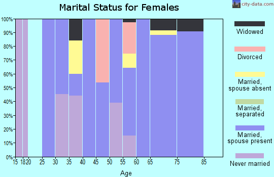 Zip code 78024 marital status for females