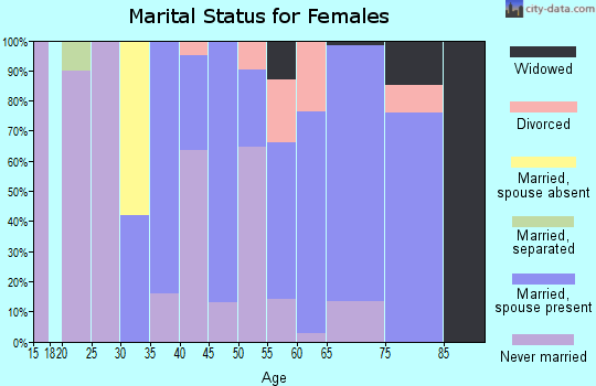 Zip code 78055 marital status for females