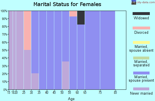 Zip code 78056 marital status for females