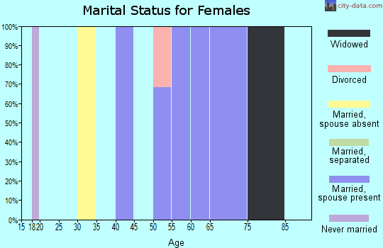 Zip code 78067 marital status for females