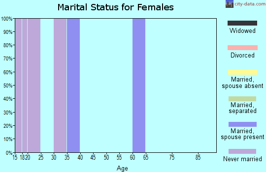 Zip code 78143 marital status for females