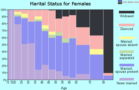 Zip code 78238 marital status for females