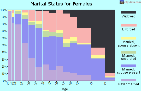 Zip code 78240 marital status for females