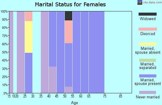 Zip code 78339 marital status for females