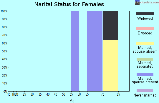 Zip code 78607 marital status for females
