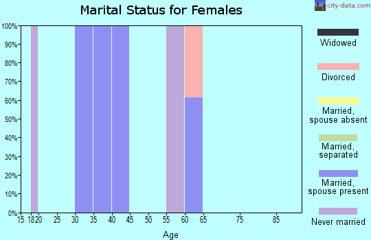 Zip code 78622 marital status for females