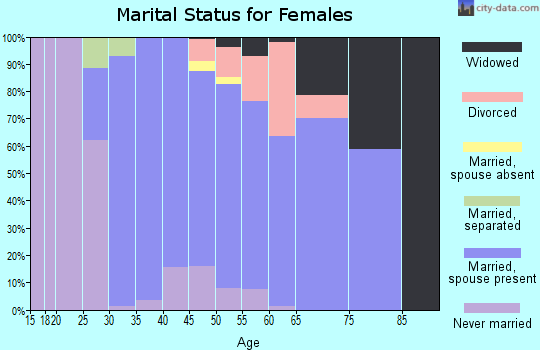 Zip code 78669 marital status for females