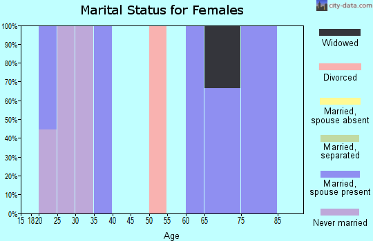 Zip code 78670 marital status for females