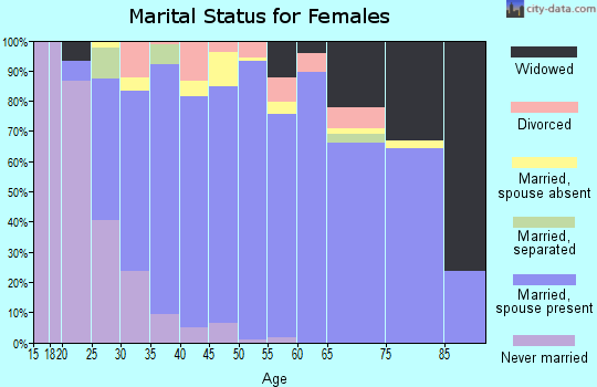 Zip code 78738 marital status for females