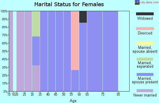 Zip code 78963 marital status for females