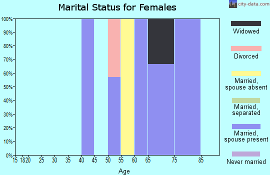 Zip code 79535 marital status for females