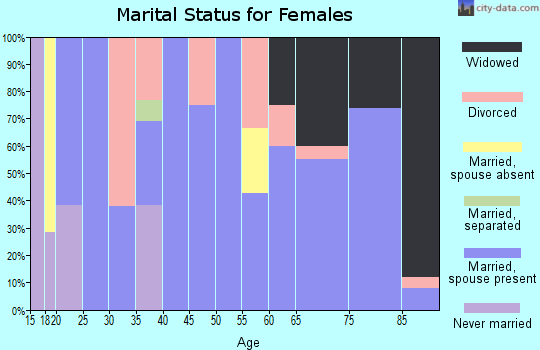 Zip code 79547 marital status for females