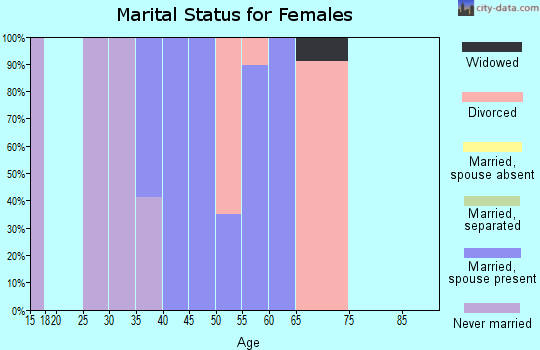 Zip code 80481 marital status for females