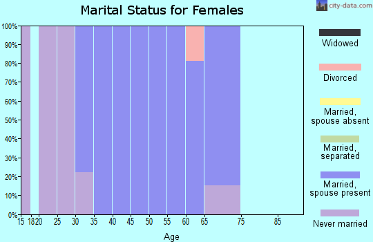 Zip code 80482 marital status for females