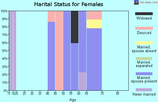 Zip code 81040 marital status for females