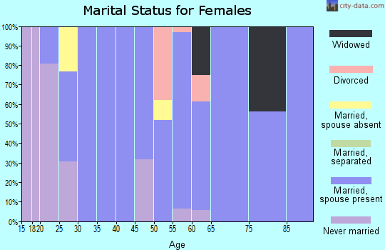 Zip code 81146 marital status for females