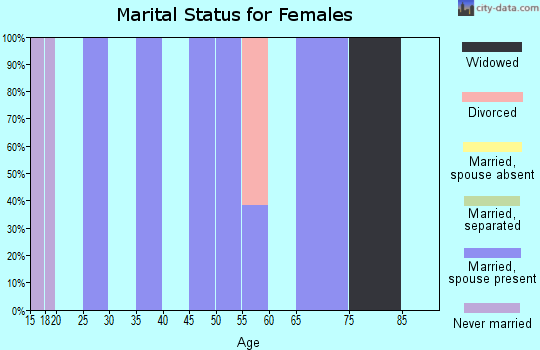 Zip code 83111 marital status for females