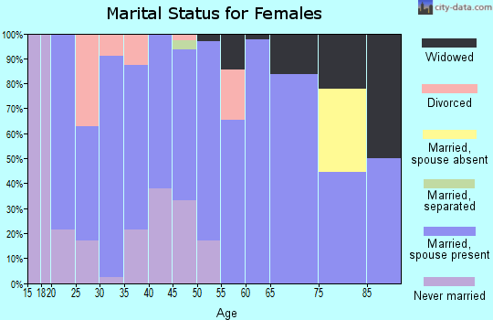 Zip code 83113 marital status for females