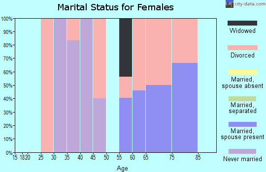Zip code 83203 marital status for females