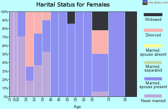 Zip code 83228 marital status for females