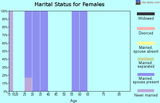 Zip code 83285 marital status for females