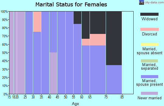 Zip code 83311 marital status for females