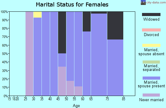 Zip code 83429 marital status for females