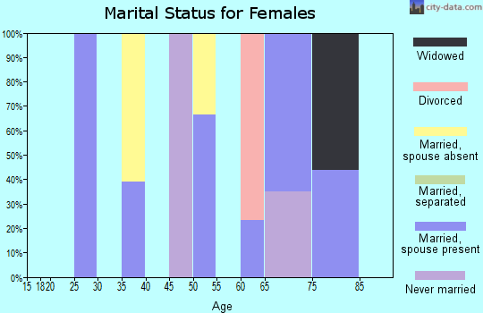 Zip code 83803 marital status for females