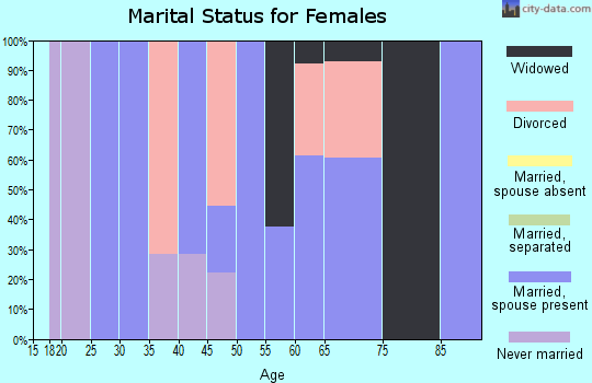 Zip code 83870 marital status for females
