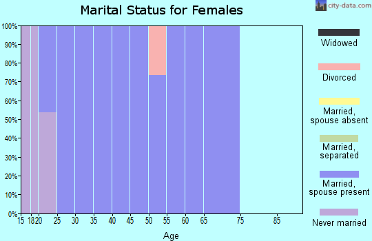 Zip code 84007 marital status for females