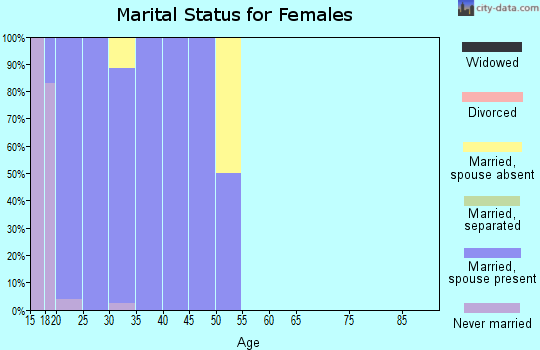 Zip code 84056 marital status for females