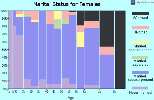 Zip code 84333 marital status for females