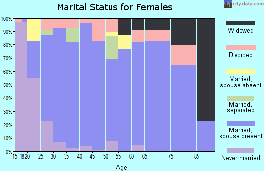 Zip code 84335 marital status for females