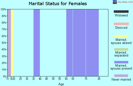 Zip code 84626 marital status for females