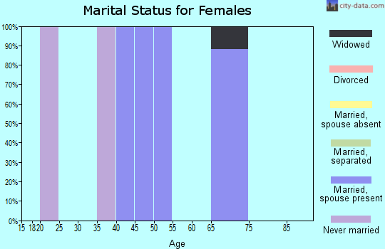 Zip code 84755 marital status for females