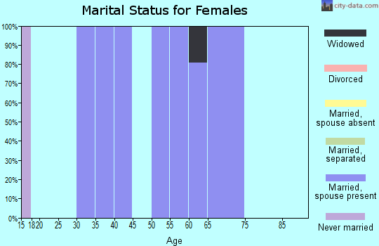 Zip code 84783 marital status for females