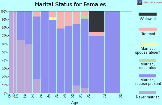 Zip code 85087 marital status for females