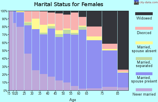 Zip code 85207 marital status for females