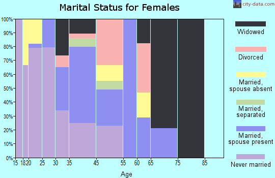 Zip code 85221 marital status for females
