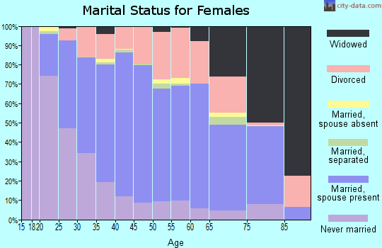 Zip code 85233 marital status for females