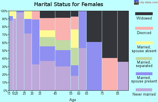 Zip code 85247 marital status for females