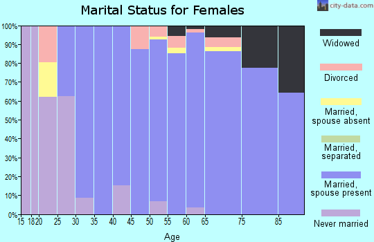 Zip code 85262 marital status for females