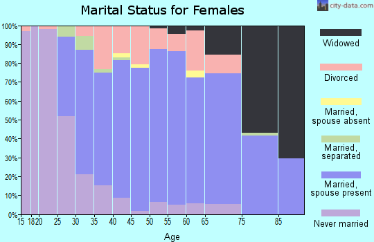 Zip code 85310 marital status for females
