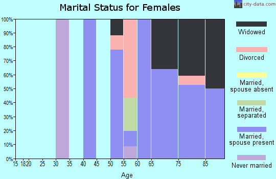 Zip code 85325 marital status for females