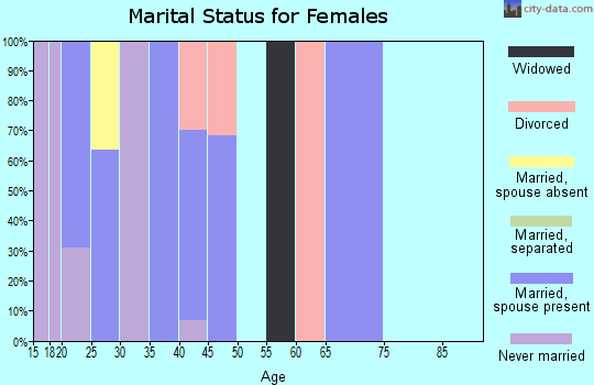 Zip code 85336 marital status for females