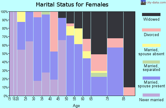 Zip code 85337 marital status for females